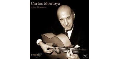 Aires Flamenco