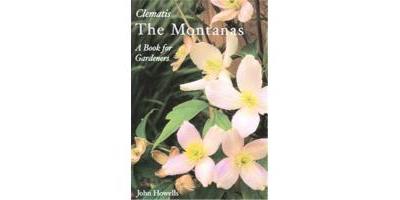 MONTANAS