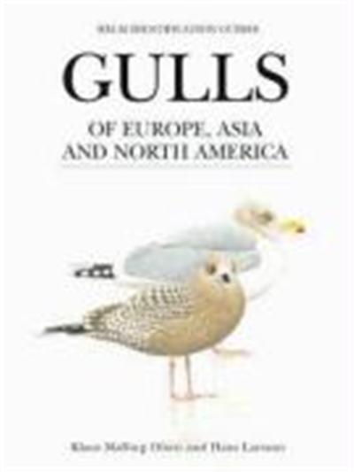 Gulls-of-Europe-Asia-and-North