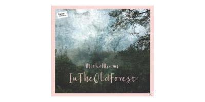 In The Old Forest