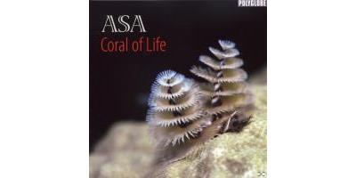 CORAL OF LIFE