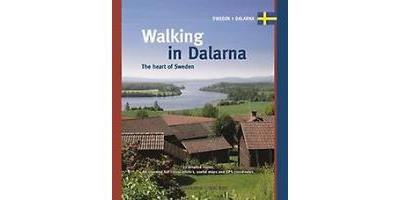 Walking in Dalarna