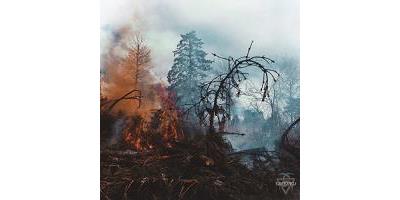 GRIEVED/LP