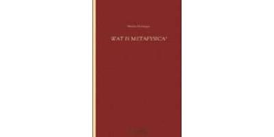 Wat is metafysica?