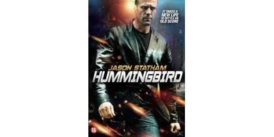 HUMMINGBIRD-VN