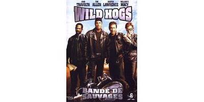 WILD HOGS-BILINGUE