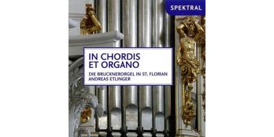 IN CHORDIS ET ORGANO