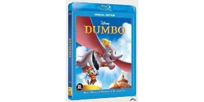 B-DUMBO-VN