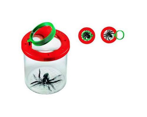 BOITE INSECTE