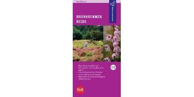 Brunssummerheide