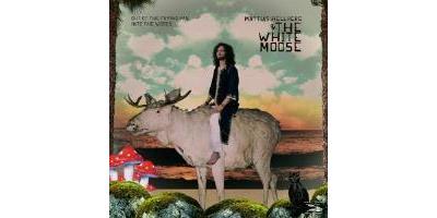 Out of the Frying Pan Into the Woods