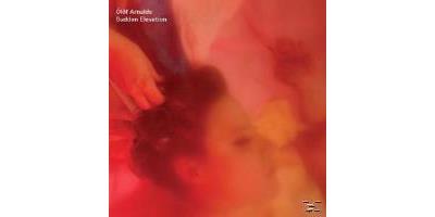 SUDDEN ELEVATION/LP