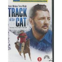 Track of the cat