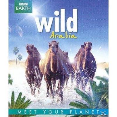 B-WILD ARABIA-VN
