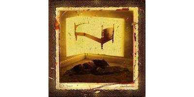 STRAYLIGHT RUN/LP