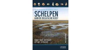 Schelpen aan de Belgische kust