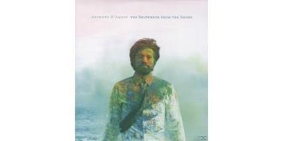 Shipwreck From Shore