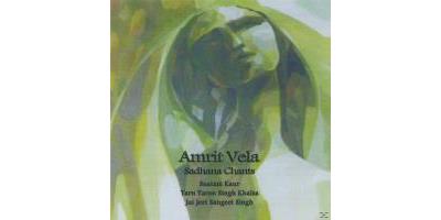 AMRIT VELA