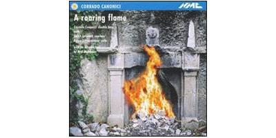 A Roaring Flame