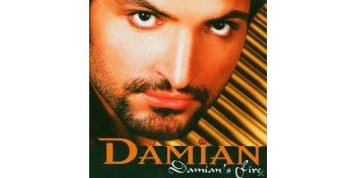 DAMIAN S FIRE