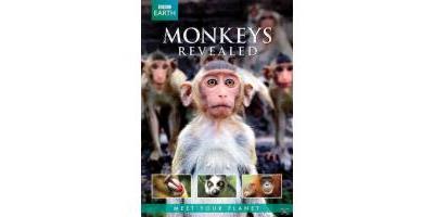 MONKEY S REVEALED-BBC EARTH-VN