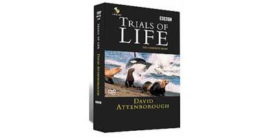 The Trials Of Life