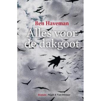 Hoe een dakgoot schoonmaken? Zo doet u dat