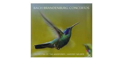 BRANDENBURG CONCERTOS/2CD