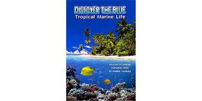 Discover The Blue - Tropical Marine Life