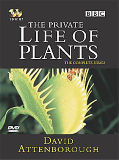 The Private Life Of Plants