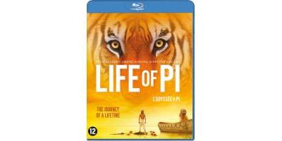 B-LIFE OF PI-BILINGUE