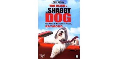 SHAGGY DOG-RAYMOND-BILINGUE