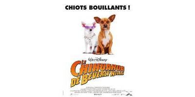 BEVERLY HILLS CHIHUAHUA-VF