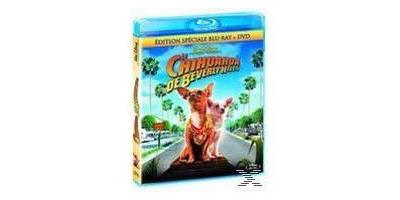 B-BEVERLY HILLS CHIHUAHUA + DVD-VF