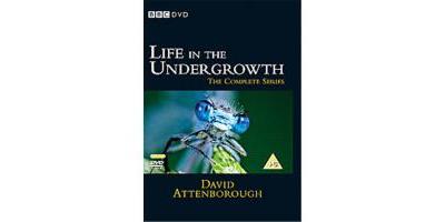 Life In The Undergrowth