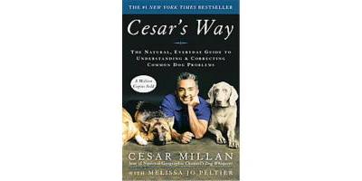 CESAR'S WAY