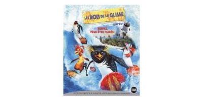 B-ROIS DE LA GLISSE-SURF S UP-VF