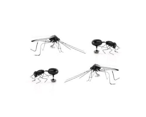 INSECT MAGNETS SET OF 4