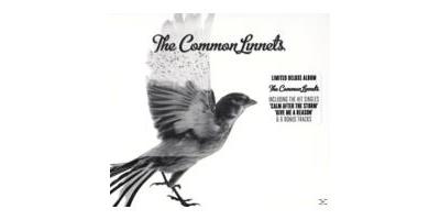 COMMON LINNETS