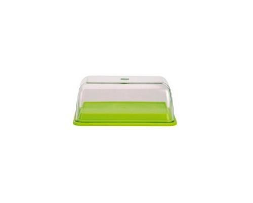 ZAK BUTTERDISH KIWI