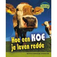 Hoe een koe je leven redde