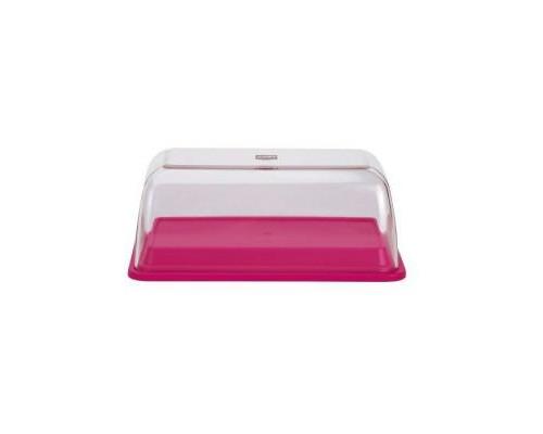 ZAK BUTTERDISH RASPBERRY