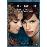 The Danish Girl_0