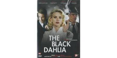 BLACK DAHLIA-VN