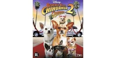 B-BEVERLY HILLS CHIHUAHUA 2-BILINGUE