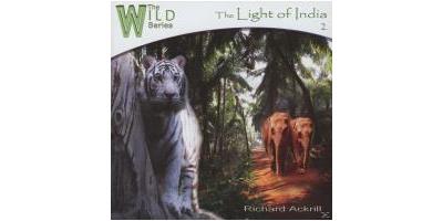 LIGHT OF INDIA