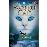 Warrior CatsGevaar_0