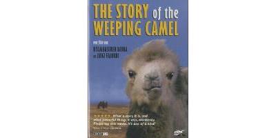 STORY OF DE WEEPING CAMEL / VO