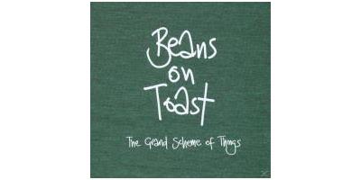 GRAND SCHEME OF THINGS/LP