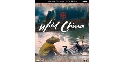 B-WILD CHINA-VN